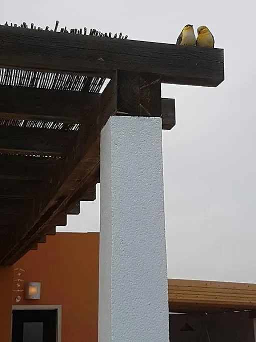 Villa Kelu Costa De Antigua